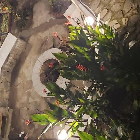 Kasauli Cascade A Cheerfull 4 Bedroom Challet Eksteriør billede