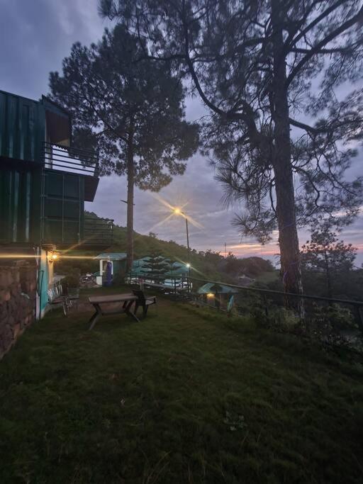 Kasauli Cascade A Cheerfull 4 Bedroom Challet Eksteriør billede