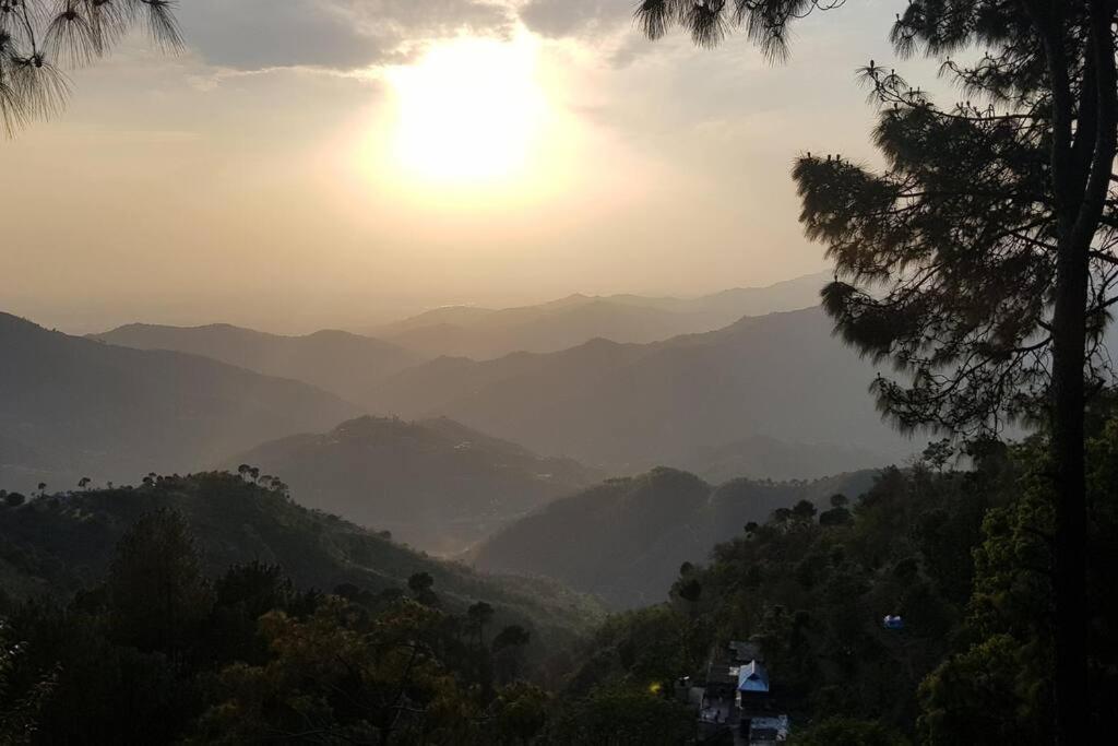Kasauli Cascade A Cheerfull 4 Bedroom Challet Eksteriør billede