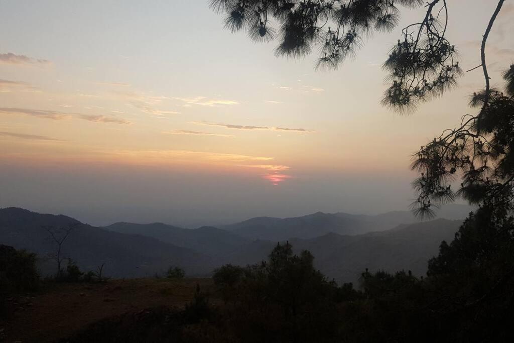 Kasauli Cascade A Cheerfull 4 Bedroom Challet Eksteriør billede