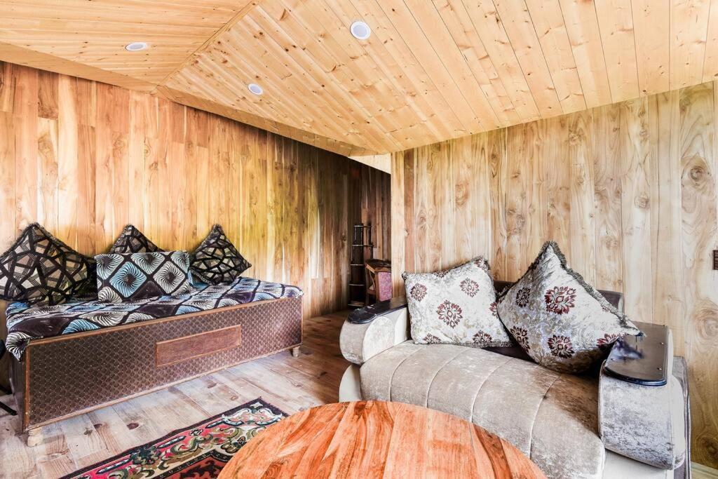 Kasauli Cascade A Cheerfull 4 Bedroom Challet Eksteriør billede